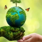 أبراج فلكية تدعم حماية البيئة بمناسبة اليوم العالمي للبيئة