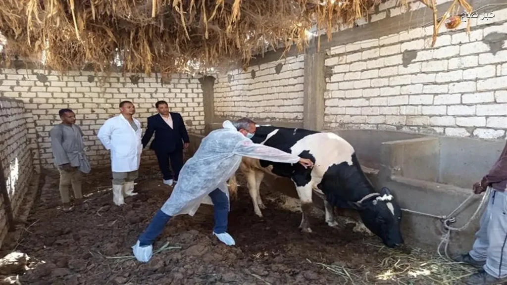 وزارة الزراعة تحصن 6.82 مليون رأس ماشية ضد الحمى القلاعية والوادي المتصدع