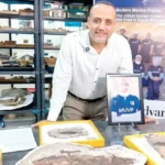 اكتشاف حفريات نادرة في الصحراء الشرقية يسلط الضوء على بدايات الأسماك الحديثة