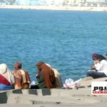 تحذيرات من مركز معلومات المناخ للمزارعين بسبب الأجواء الحارة