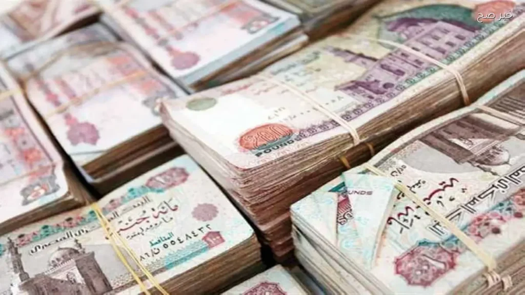 أصحاب المعاشات يطالبون بتعويضات بعد أزمة السيستم
