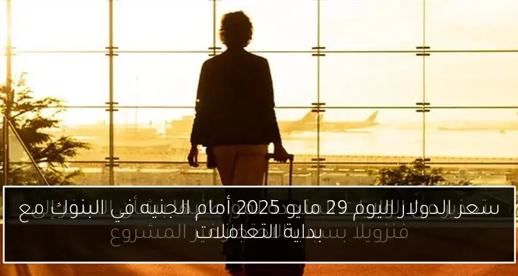 سعر الدولار اليوم 29 مايو 2025 أمام الجنيه في البنوك مع بداية التعاملات
