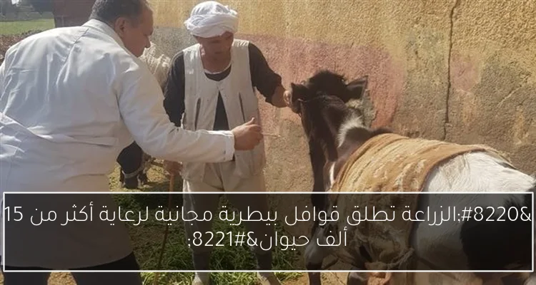 “الزراعة تطلق قوافل بيطرية مجانية لرعاية أكثر من 15 ألف حيوان”