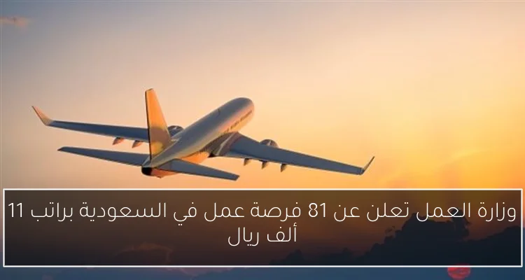 وزارة العمل تعلن عن 81 فرصة عمل في السعودية براتب 11 ألف ريال
