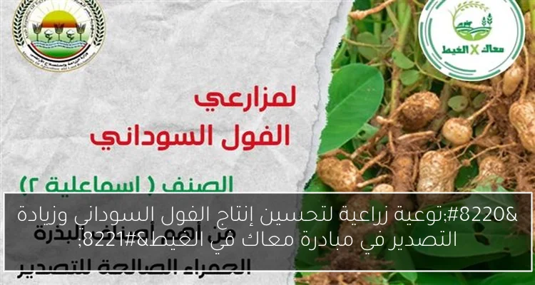 “توعية زراعية لتحسين إنتاج الفول السوداني وزيادة التصدير في مبادرة معاك في الغيط”