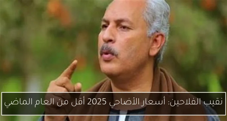 نقيب الفلاحين: أسعار الأضاحي 2025 أقل من العام الماضي