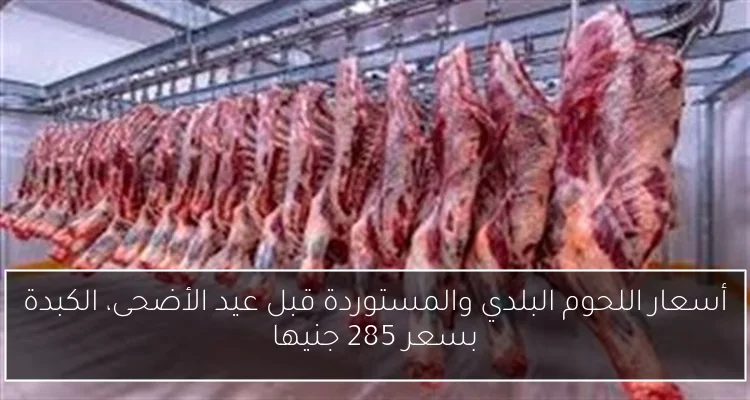 أسعار اللحوم البلدي والمستوردة قبل عيد الأضحى، الكبدة بسعر 285 جنيها