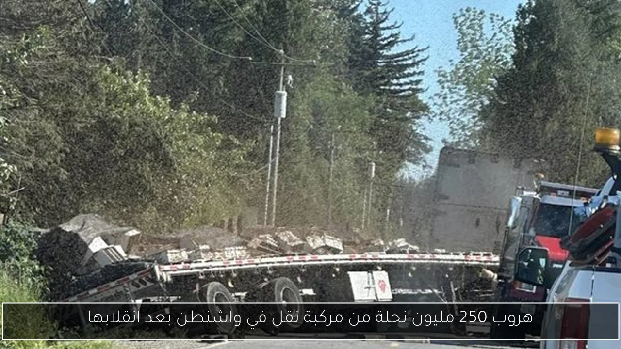 هروب 250 مليون نحلة من مركبة نقل في واشنطن بعد انقلابها