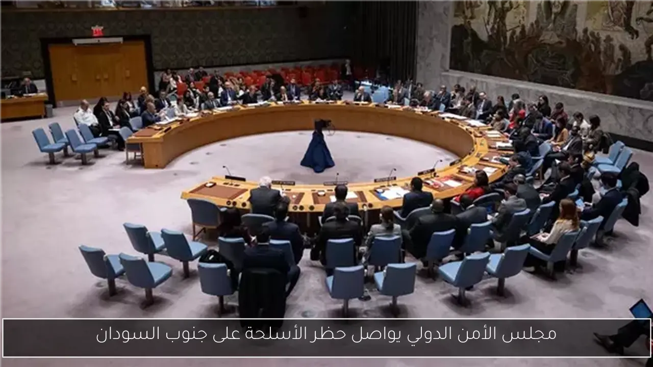 مجلس الأمن الدولي يواصل حظر الأسلحة على جنوب السودان