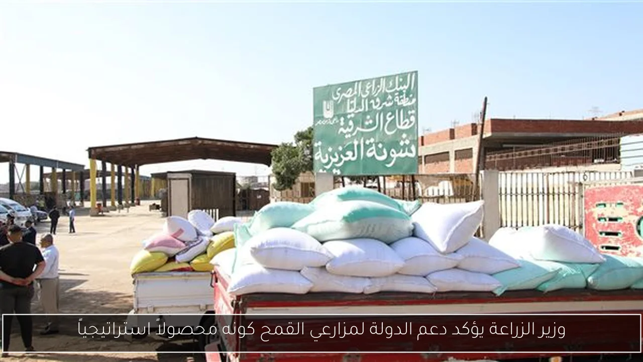 وزير الزراعة يؤكد دعم الدولة لمزارعي القمح كونه محصولاً استراتيجياً