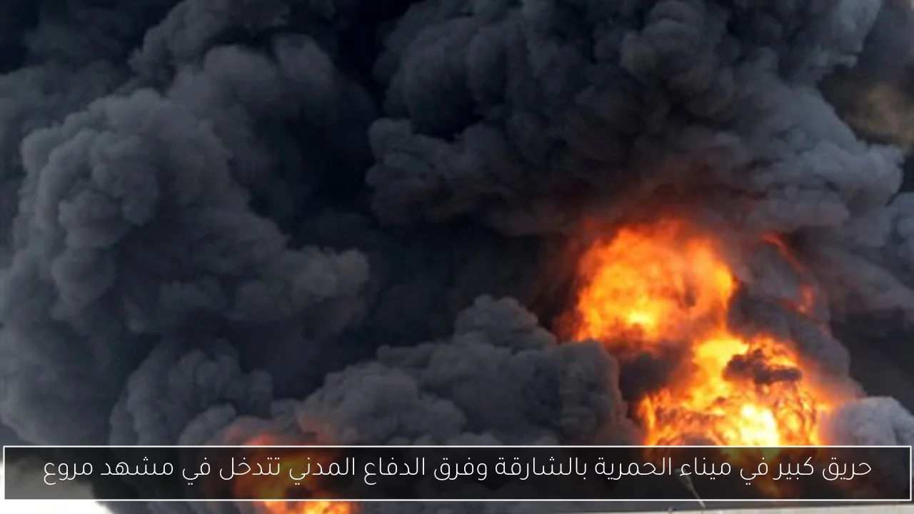 حريق كبير في ميناء الحمرية بالشارقة وفرق الدفاع المدني تتدخل في مشهد مروع