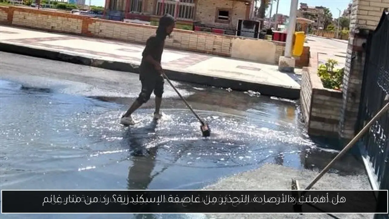 هل أهملت «الأرصاد» التحذير من عاصفة الإسكندرية؟ رد من منار غانم