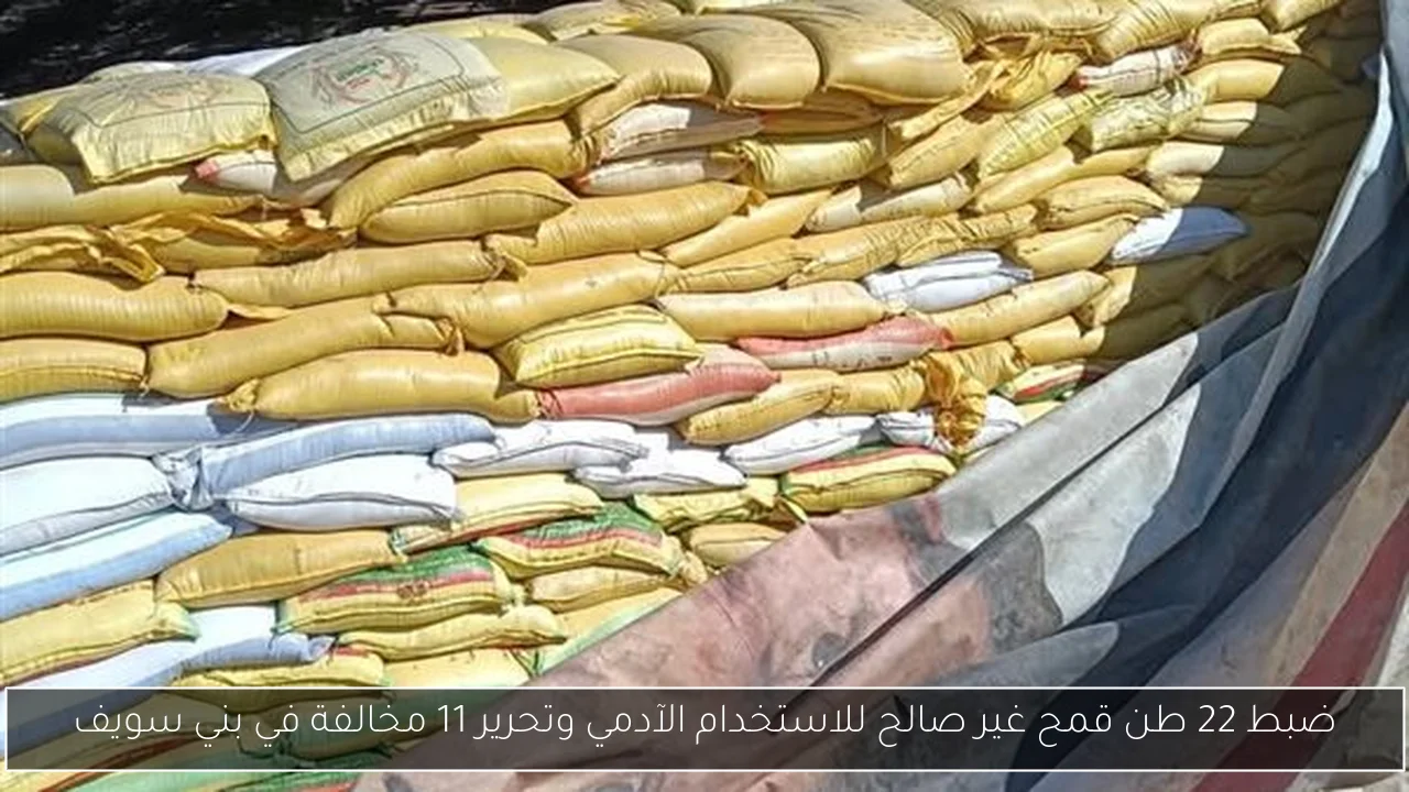 ضبط 22 طن قمح غير صالح للاستخدام الآدمي وتحرير 11 مخالفة في بني سويف
