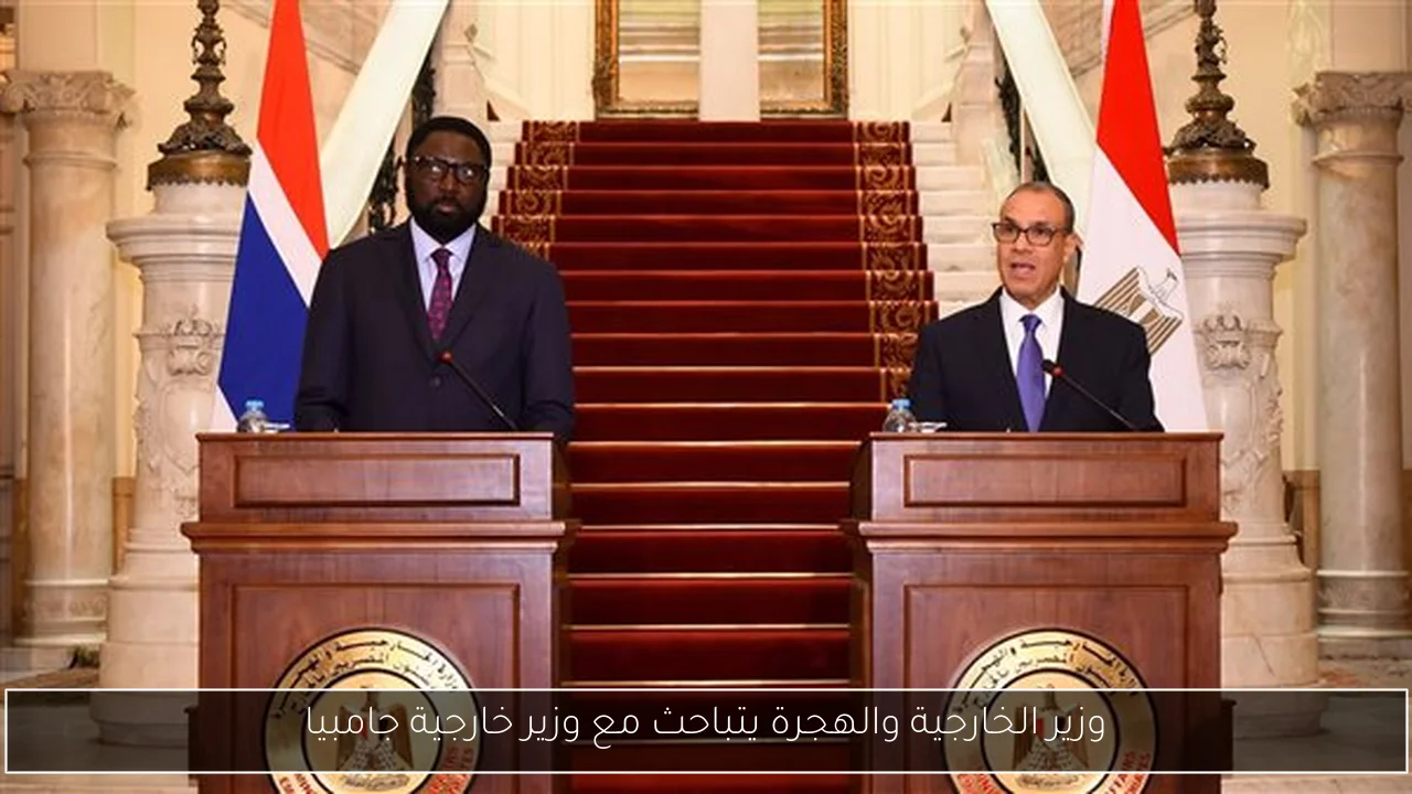 وزير الخارجية والهجرة يتباحث مع وزير خارجية جامبيا