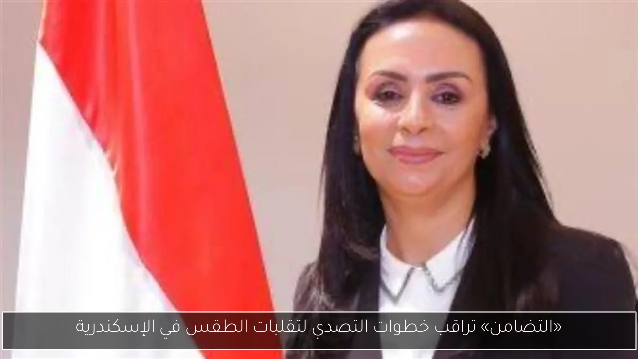 «التضامن» تراقب خطوات التصدي لتقلبات الطقس في الإسكندرية