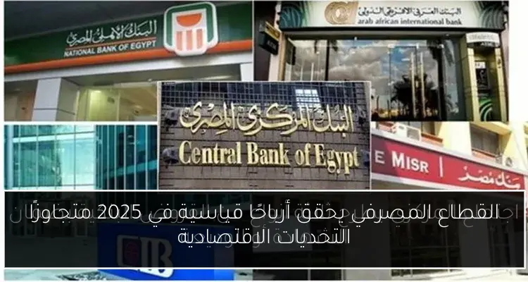 القطاع المصرفي يحقق أرباحًا قياسية في 2025 متجاوزًا التحديات الاقتصادية