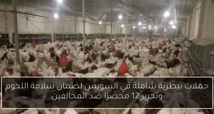 حملات بيطرية شاملة في السويس لضمان سلامة اللحوم وتحرير 12 محضرًا ضد المخالفين
