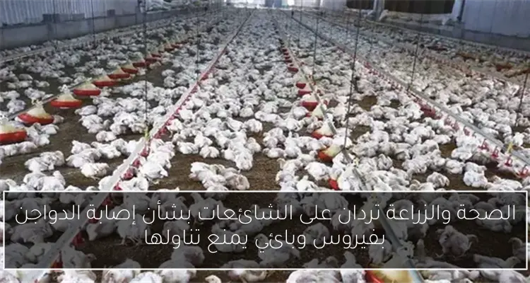 نادين نجيم تفكر في اللجوء للقضاء بعد اتهامات باختلاق حادثة التحرش
