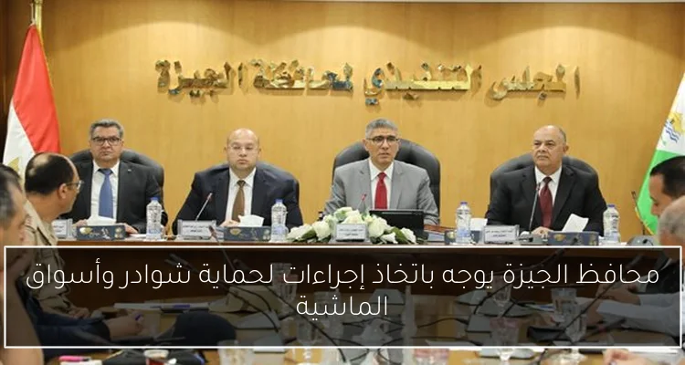 محافظ الجيزة يوجه باتخاذ إجراءات لحماية شوادر وأسواق الماشية