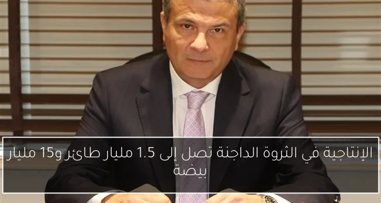 الإنتاجية في الثروة الداجنة تصل إلى 1.5 مليار طائر و15 مليار بيضة