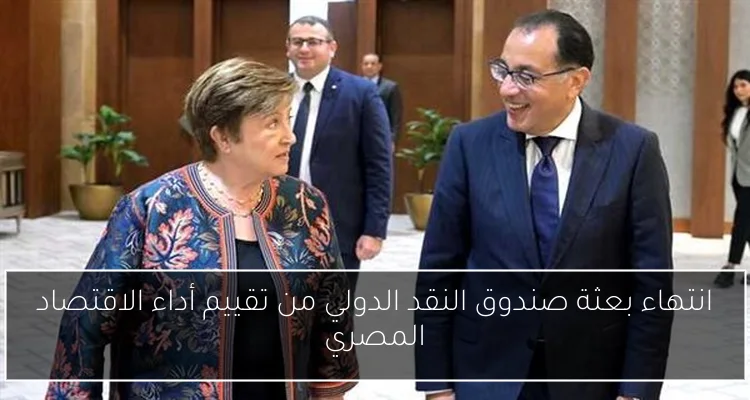 نجوم الفن يشاركون في احتفالية زفاف جماعي لـ300 فتاة برعاية تحيا مصر