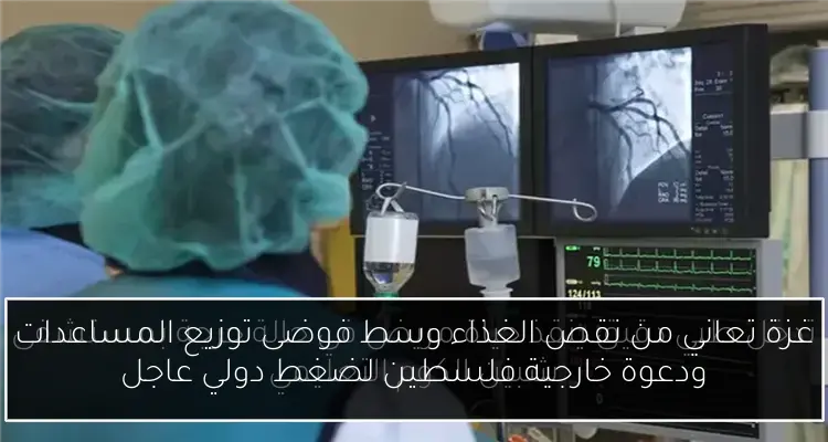 غزة تعاني من نقص الغذاء وسط فوضى توزيع المساعدات ودعوة خارجية فلسطين لضغط دولي عاجل