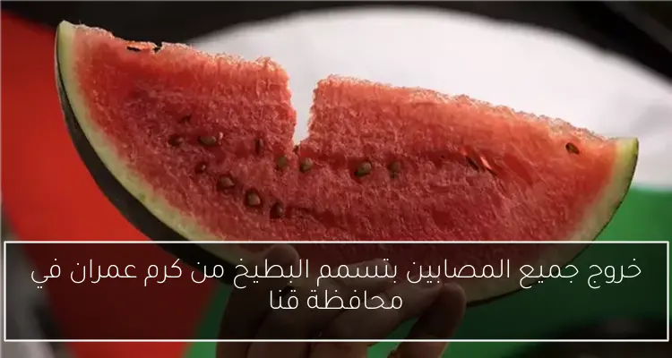 الأمان السيبراني ركيزة أساسية لدعم استقرار الاقتصاد الوطني حسب الرقابة المالية