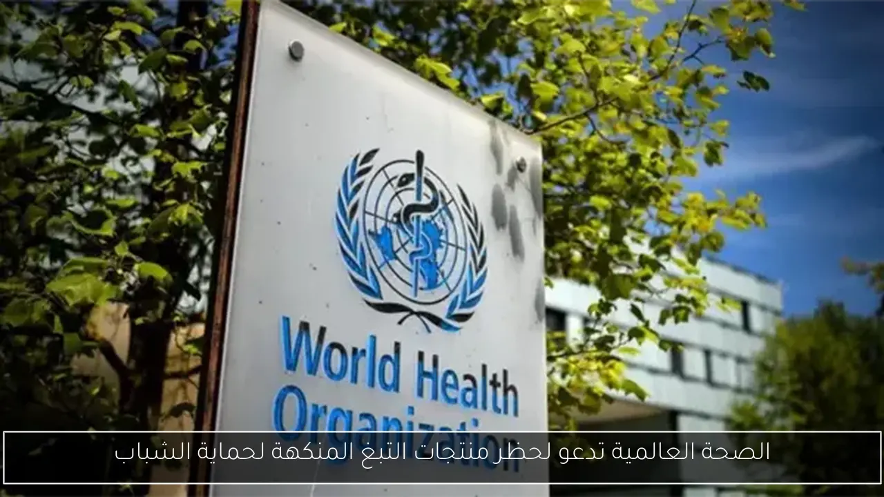 خبراء يؤكدون أن خفض الفائدة يعزز العقار والصناعة ويحفز الاقتصاد المصري