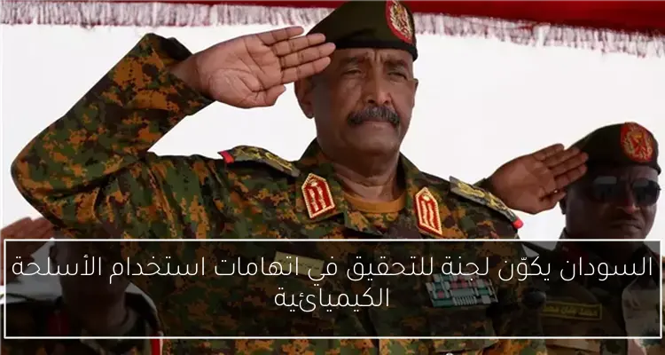بني سويف تتابع تنفيذ كوبري الشاملة لضمان التقدم السريع