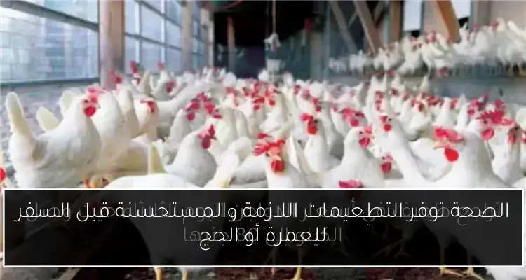 الصحة توفر التطعيمات اللازمة والمستحسنة قبل السفر للعمرة أو الحج