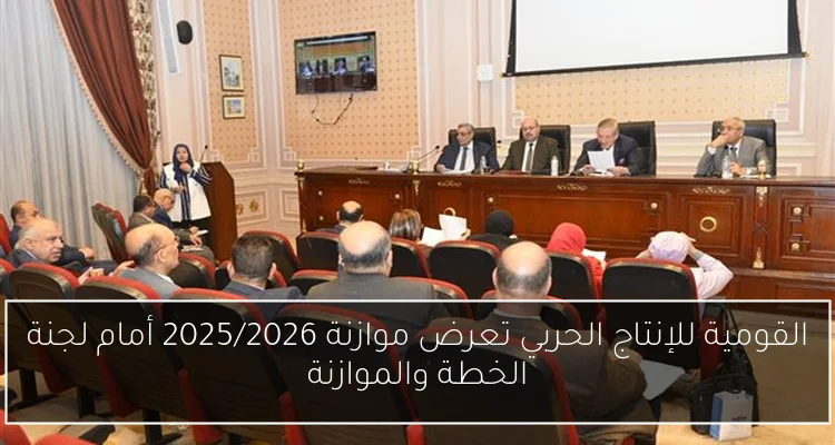 القومية للإنتاج الحربي تعرض موازنة 2025/2026 أمام لجنة الخطة والموازنة