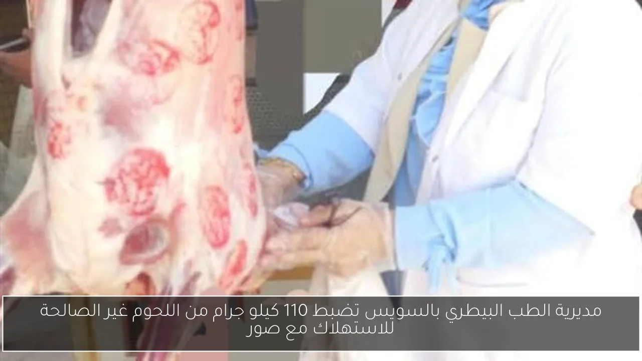 مديرية الطب البيطري بالسويس تضبط 110 كيلو جرام من اللحوم غير الصالحة للاستهلاك مع صور