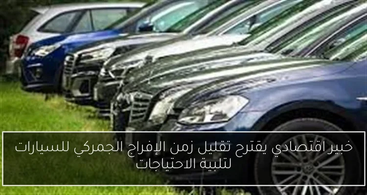 خبير اقتصادي يقترح تقليل زمن الإفراج الجمركي للسيارات لتلبية الاحتياجات