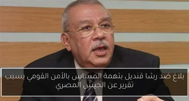 بلاغ ضد رشا قنديل بتهمة المساس بالأمن القومي بسبب تقرير عن الجيش المصري