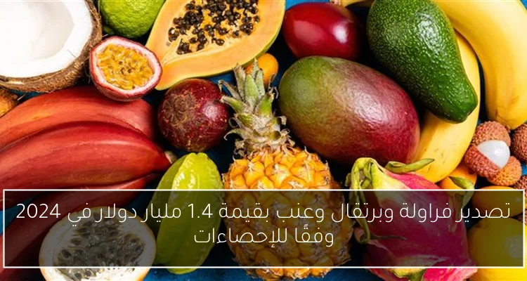 تصدير فراولة وبرتقال وعنب بقيمة 1.4 مليار دولار في 2024 وفقًا للإحصاءات