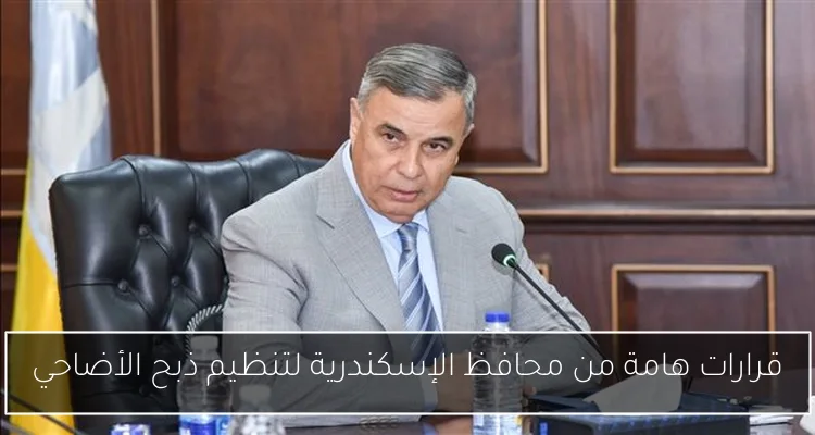 قرارات هامة من محافظ الإسكندرية لتنظيم ذبح الأضاحي