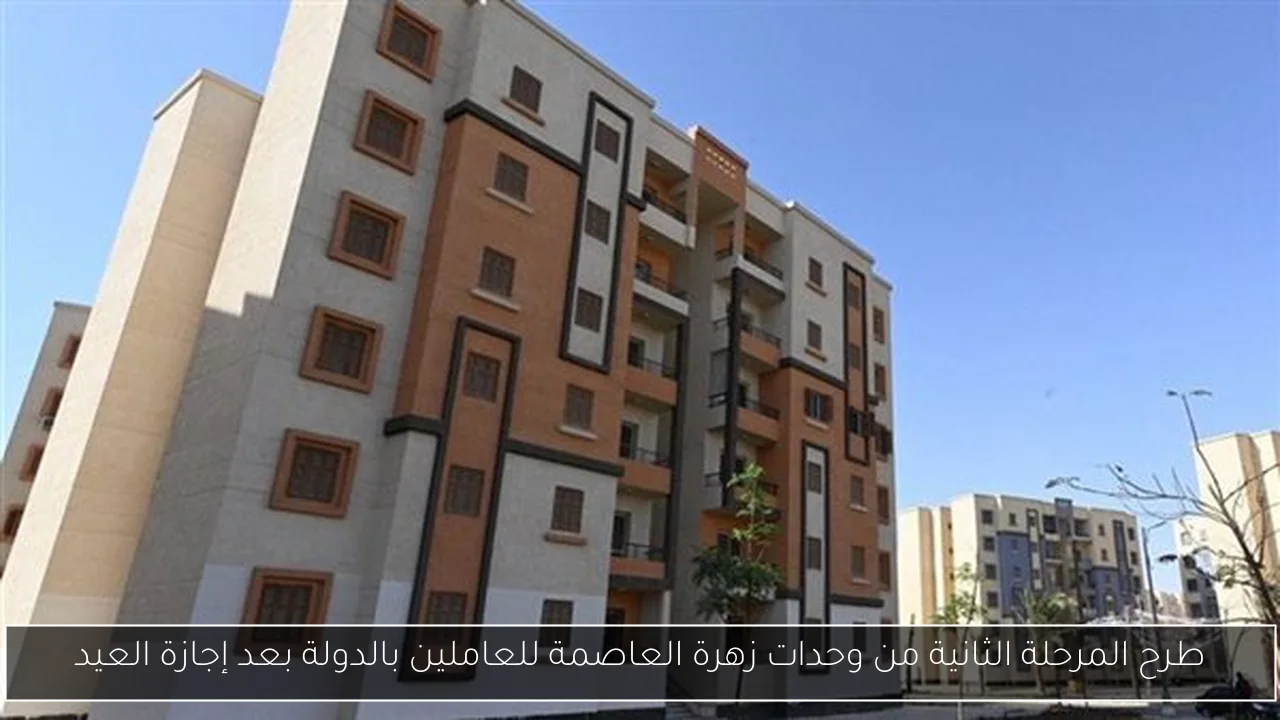 خبير علاقات دولية يؤكد عدم الرهان على وقف المساعدات الأمريكية لإسرائيل