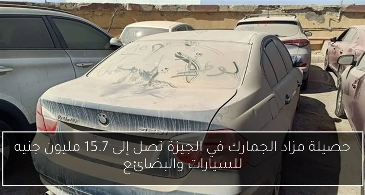 حصيلة مزاد الجمارك في الجيزة تصل إلى 15.7 مليون جنيه للسيارات والبضائع