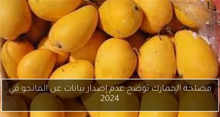 نهضة بركان يتوج بلقب الكونفدرالية 2025 بعد انتصاره على سيمبا التنزاني