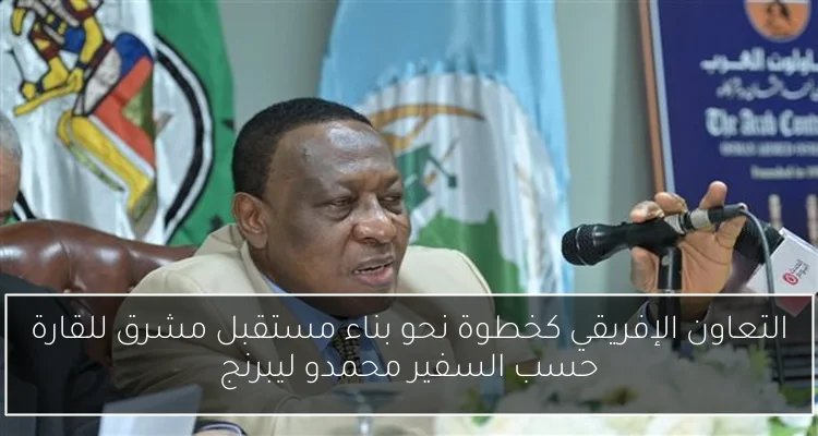 التعاون الإفريقي كخطوة نحو بناء مستقبل مشرق للقارة حسب السفير محمدو ليبرنج