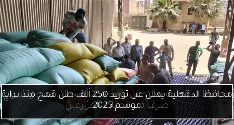 محافظ الدقهلية يعلن عن توريد 250 ألف طن قمح منذ بداية موسم 2025
