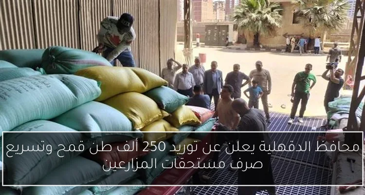 محافظ الدقهلية يعلن عن توريد 250 ألف طن قمح وتسريع صرف مستحقات المزارعين