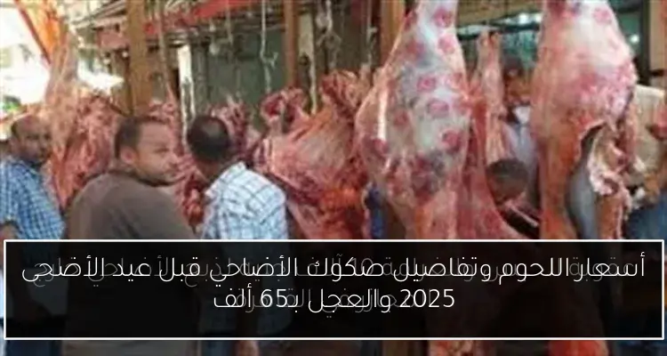 أسعار اللحوم وتفاصيل صكوك الأضاحي قبل عيد الأضحى 2025 والعجل بـ65 ألف
