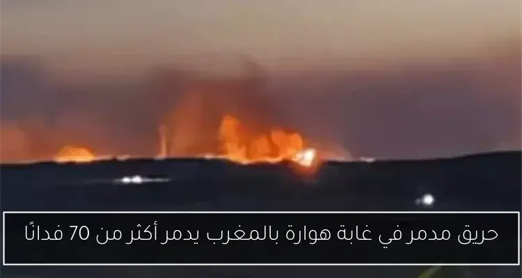 “الكهرباء تسلم شهادات لأربع شركات لإنتاج الكهرباء باستثمارات 388 مليون دولار”