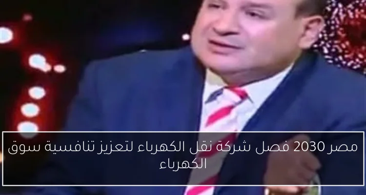 مصر 2030 فصل شركة نقل الكهرباء لتعزيز تنافسية سوق الكهرباء
