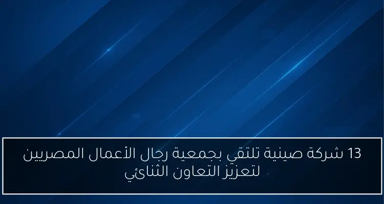 13 شركة صينية تلتقي بجمعية رجال الأعمال المصريين لتعزيز التعاون الثنائي
