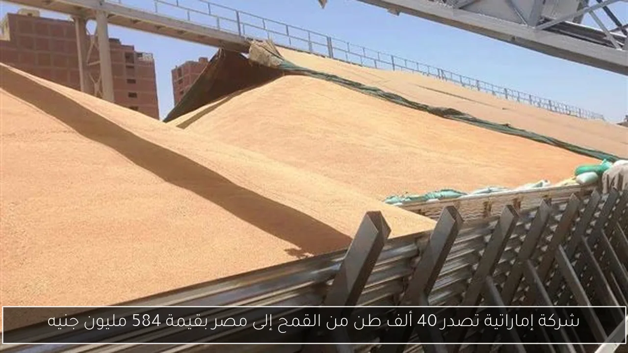 شركة إماراتية تصدر 40 ألف طن من القمح إلى مصر بقيمة 584 مليون جنيه
