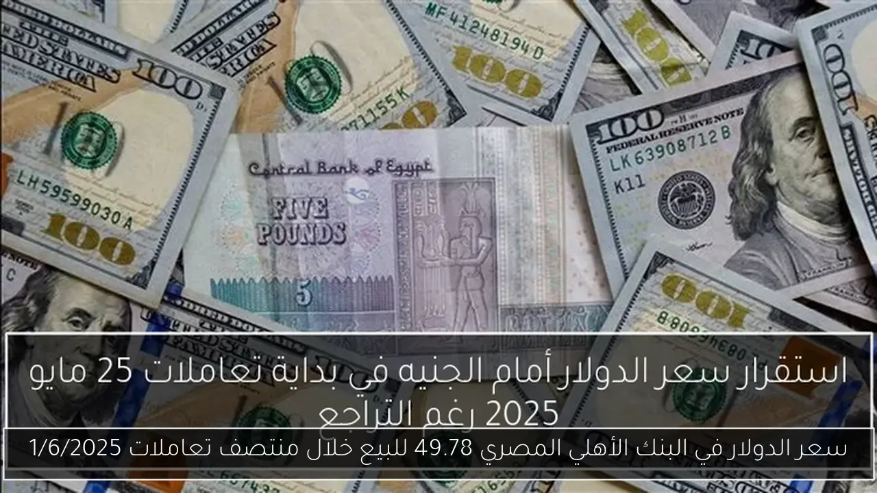 سعر الدولار في البنك الأهلي المصري 49.78 للبيع خلال منتصف تعاملات 1/6/2025