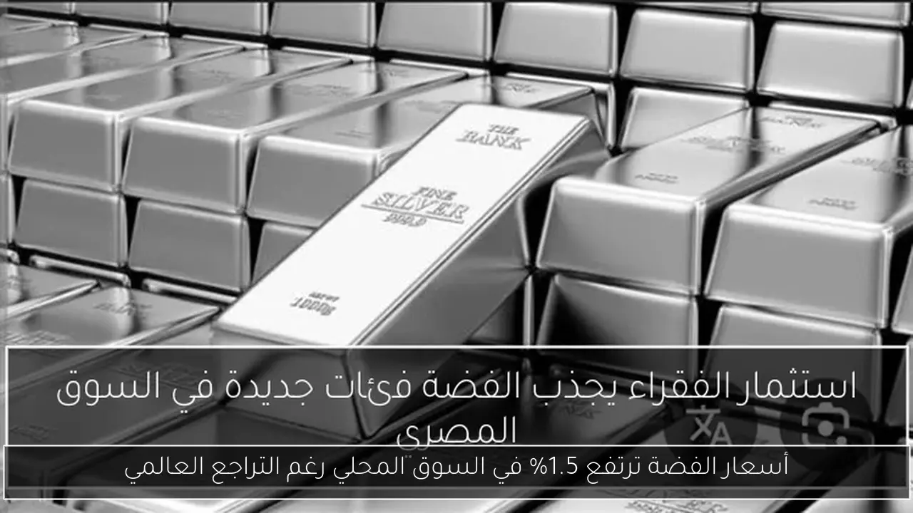 أسعار الفضة ترتفع 1.5% في السوق المحلي رغم التراجع العالمي
