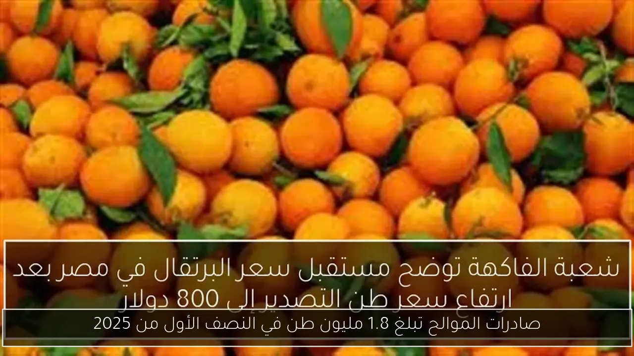 صادرات الموالح تبلغ 1.8 مليون طن في النصف الأول من 2025